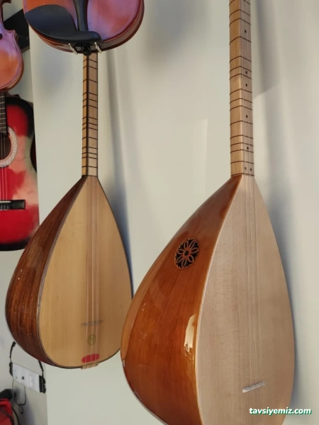 Vega Müzik Kursu Ve Sanat Akademisi Malatya