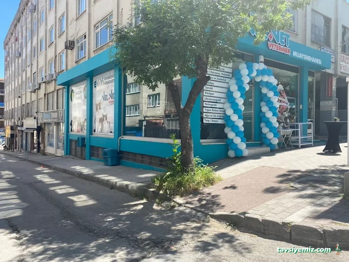 Velvet Veteriner Muayenehanesi