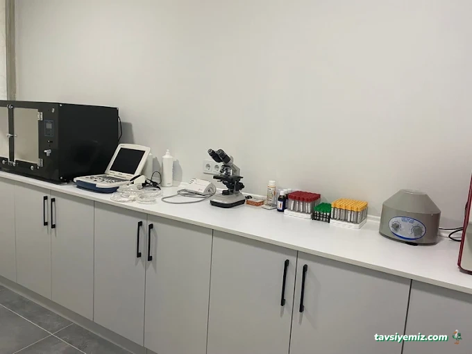 Velvet Veteriner Muayenehanesi