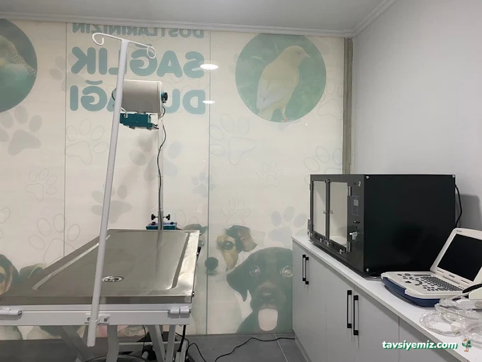 Velvet Veteriner Muayenehanesi