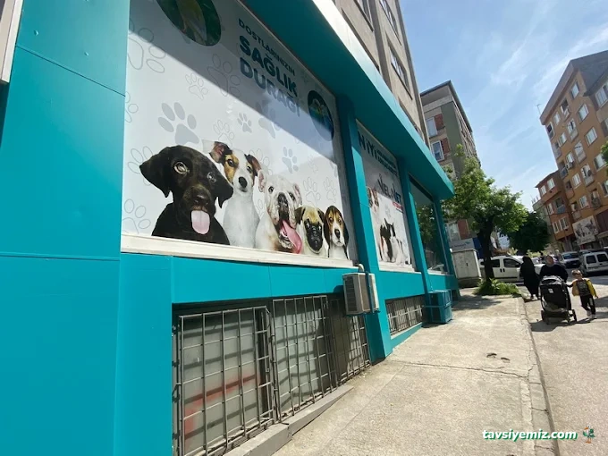 Velvet Veteriner Muayenehanesi