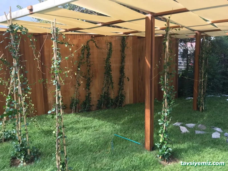 Ventus Peyzaj Ve Tasarım Ofisi