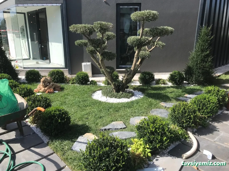 Ventus Peyzaj Ve Tasarım Ofisi