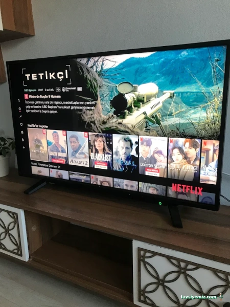 Vestel Yetkili Servisi - Osmangazi - Btsm Teknik