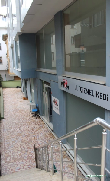 Vet Çizmeli Kedi Çekmeköy Veteriner Kliniği