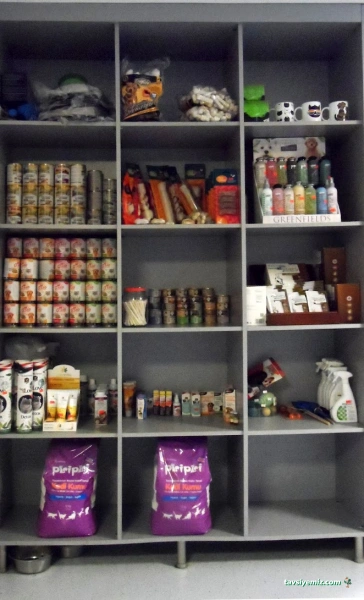 Vet Çizmeli Kedi Çekmeköy Veteriner Kliniği