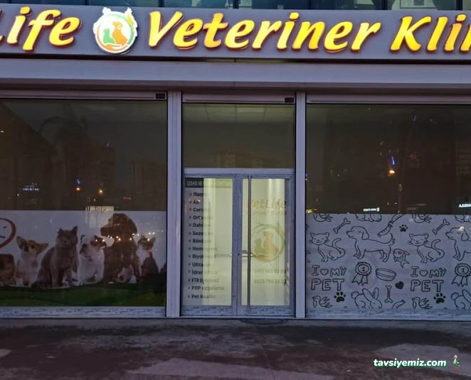 Vetberry Veteriner Kliniği