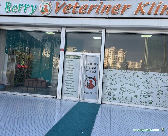 Vetberry Veteriner Kliniği