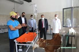 Veter-Pet Veteriner Kliniği Bingöl
