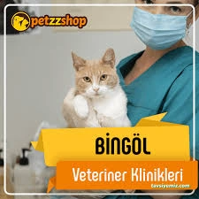Veter-Pet Veteriner Kliniği Bingöl