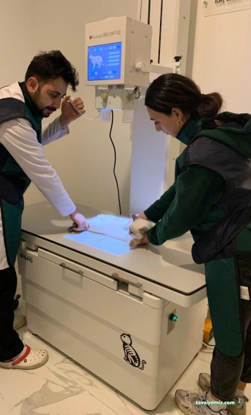 Vethospital Veteriner Kliniği 7/24 Acil Veteriner Bahçelievler