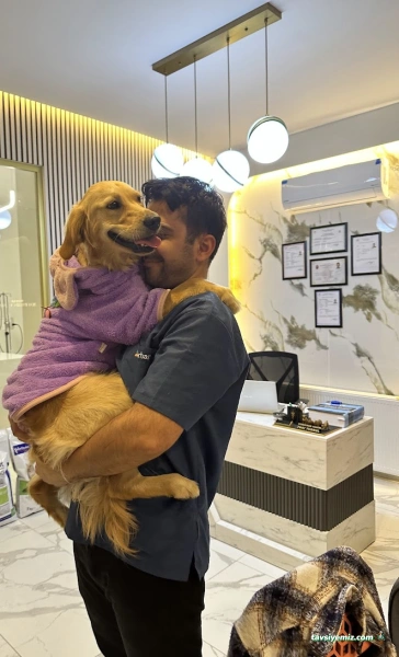 Vethospital Veteriner Kliniği 7/24 Acil Veteriner Bahçelievler