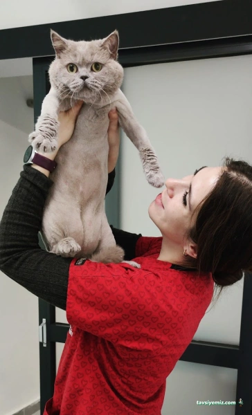 Vetkozyatağı Veteriner Kliniği