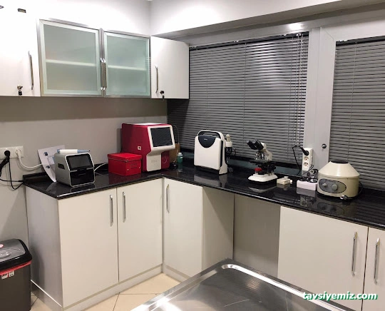 Vetorka Veteriner Kliniği