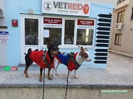 Vetred Veteriner Kliniği