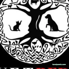 Vetred Veteriner Kliniği