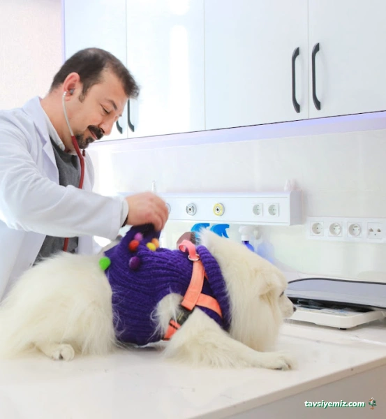 Vetrium Çayyolu Veteriner Kliniği