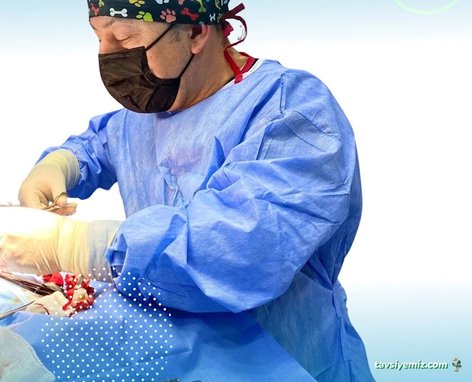 Vetrium Çayyolu Veteriner Kliniği