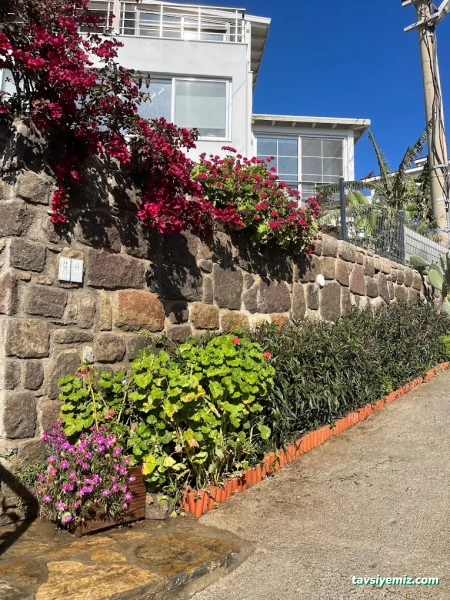 Veyisoğlu İnşaat&Peyzaj