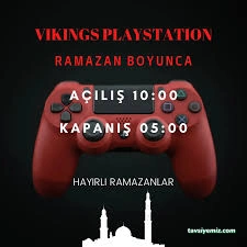Vikings Playstation