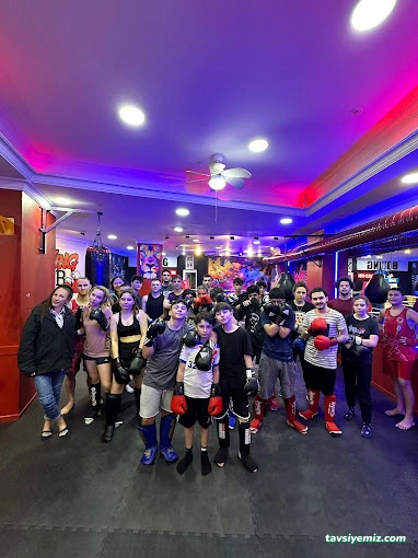 Warrıor Fıght Club (Savaşçı Dövüş Kulübü)