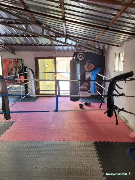 Warriors Sport Academy