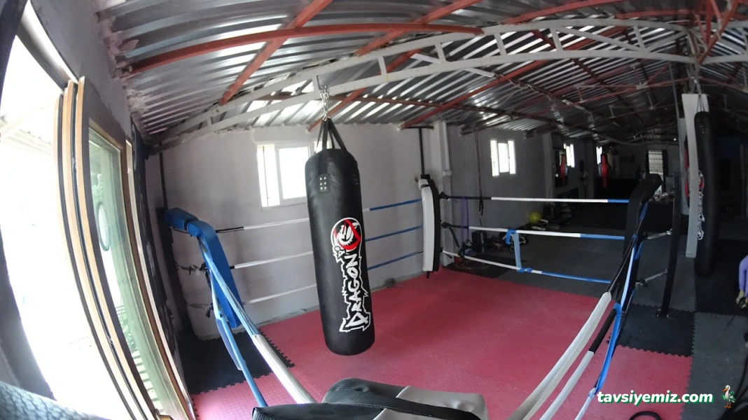 Warriors Sport Academy