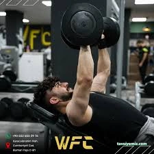 Wellnessinn Fitness Club