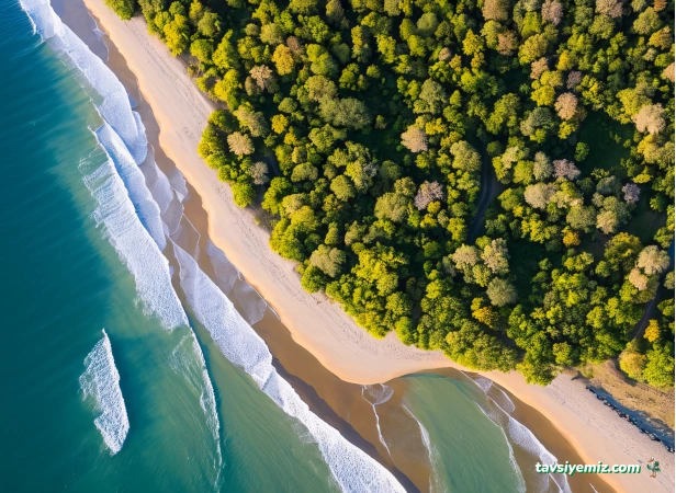 Xyz Yazılım Updated