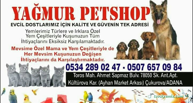 Yağmur Petshop