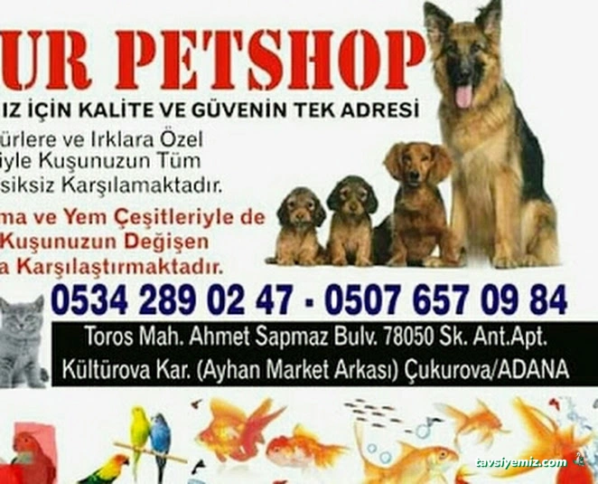 Yağmur Petshop