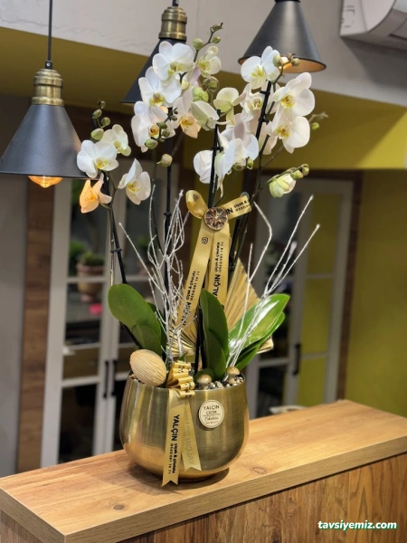 Yalçın Çiçekçilik