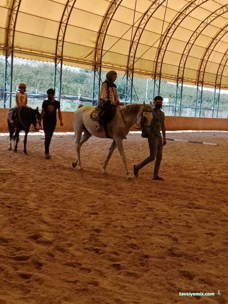 Yalova Atlı Spor Kulübü