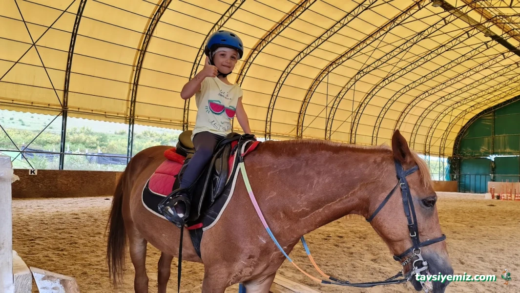 Yalova Atlı Spor Kulübü