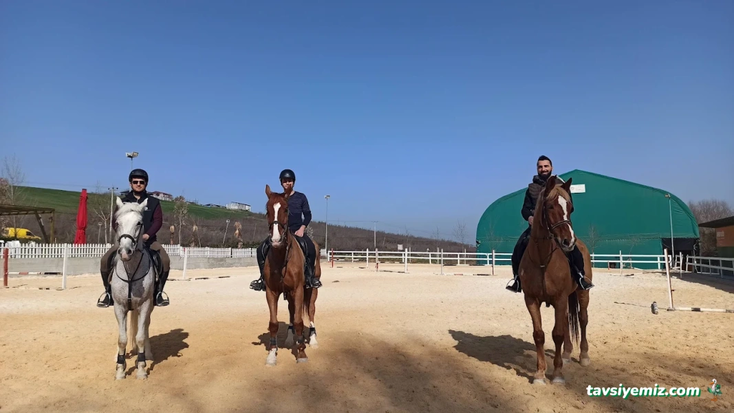 Yalova Atlı Spor Kulübü