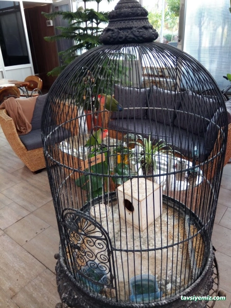 Yalova Güney Çiçekçilik