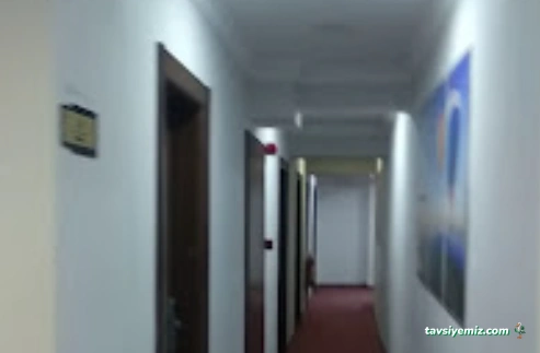 Yalova Valiliği Sosyal Yardımlaşma