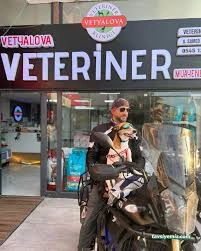 Yalova Veteriner Kliniği