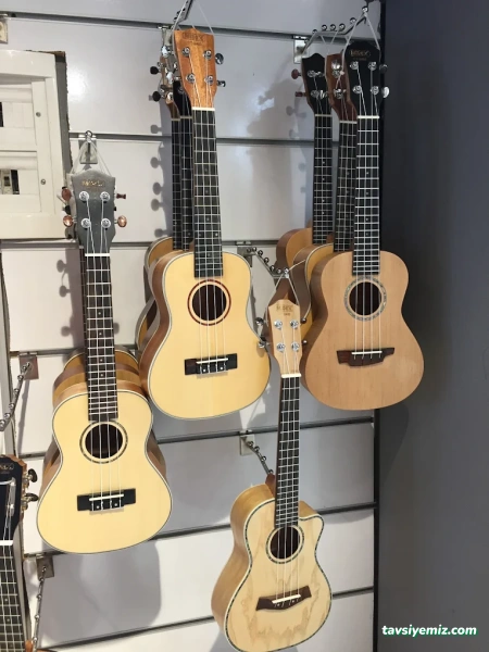 Yankı Müzik Aletleri