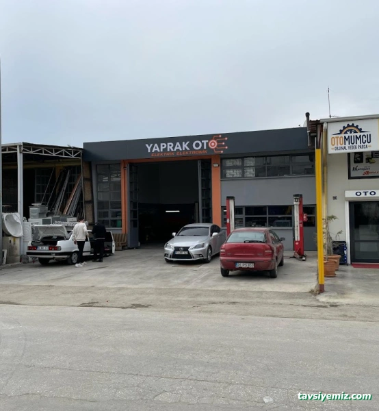 Yaprak Oto Beyin Elektrik/Elektronik