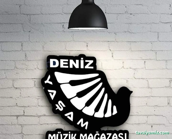 Yaşam Müzik Mağazası