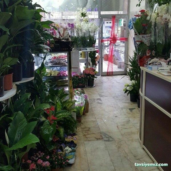 Yasemen Davet Organizasyon Çiçek