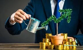 Yatırım Showroom Dünyası Siirt