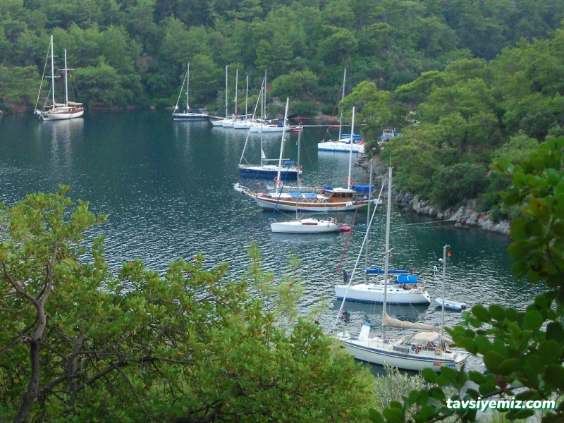 Yelkenli Yatçılık - Yelkenli Yachting