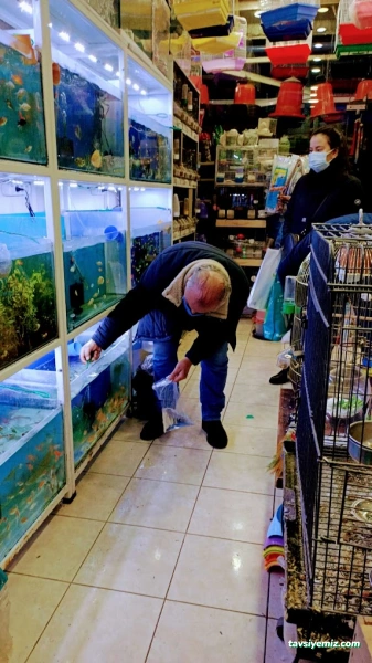 Yeni Doğuş Akvaryum