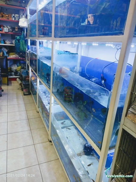 Yeni Doğuş Akvaryum