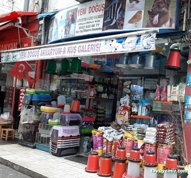 Yeni Doğuş Akvaryum