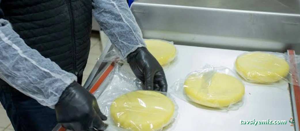 Yeni Yayla Süt Ürünleri Fabrikası