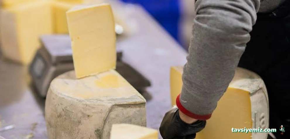 Yeni Yayla Süt Ürünleri Fabrikası