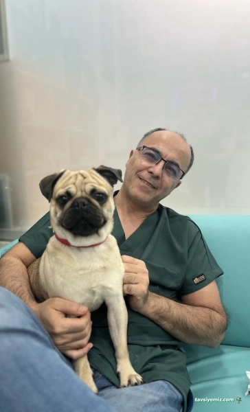 Yenibosna Veteriner Kliniği